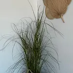 Apartment Axelle 3