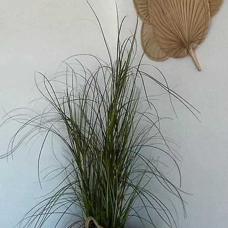 Apartment Axelle 3