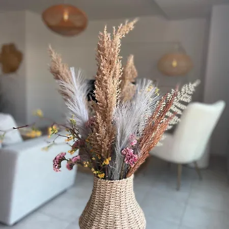 Axelle 3 Appartement *